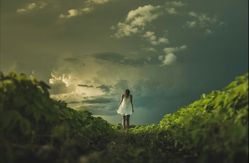 matthew-henry-pNMH4SDf8us-unsplash2